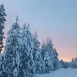 Kataja With Winter Forest Landscape And Wi-fi ヴィラ *