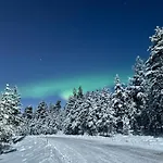 Kataja With Winter Forest Landscape And Wi-fi * ロヴァニエミ