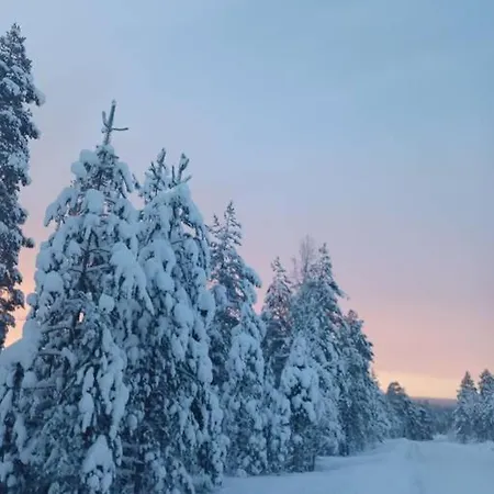 Kataja With Winter Forest Landscape And Wi-fi וילה *
