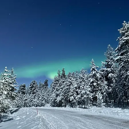 Kataja With Winter Forest Landscape And Wi-fi * Rovaniemi