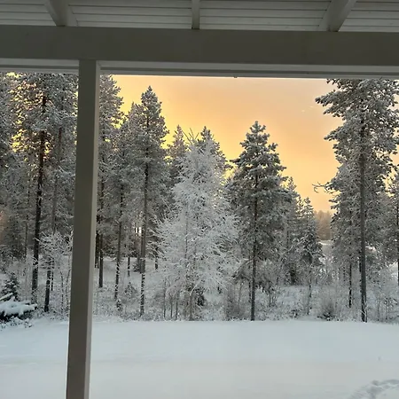 Kataja With Winter Forest Landscape And Wi-fi * Rovaniemi