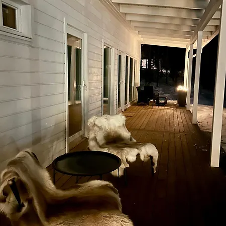 Kataja With Winter Forest Landscape And Wi-fi